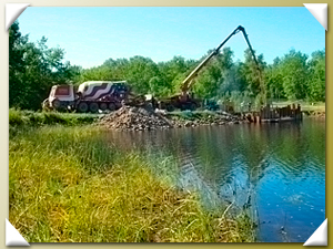 Radigan Flowage Wetland