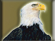 Eagle Logo