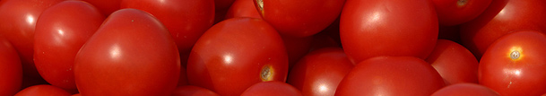 picture of tomatoes