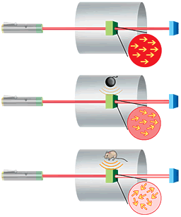 magnetometer