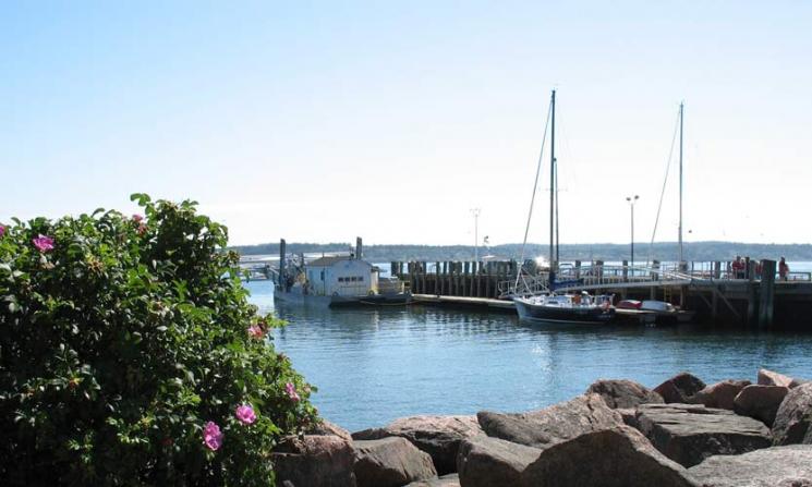 Cobscook Bay, Maine, is the site of a tidal energy pilot project led by Ocean Renewable Power Company. | Photo courtesy of Ocean Renewable Power Company. 