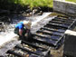 scientist conducting a stream experiment