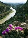 Rio Grande, Big Bend National Park