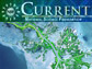 NSF Current, June 2010 Edition