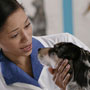 Veterinarian with dog