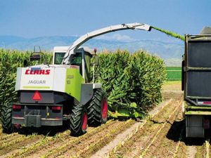 Self-Propelled Forage Harvester