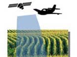 Drawing of a plane and satallite over a corn field