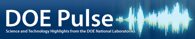 DOE Pulse