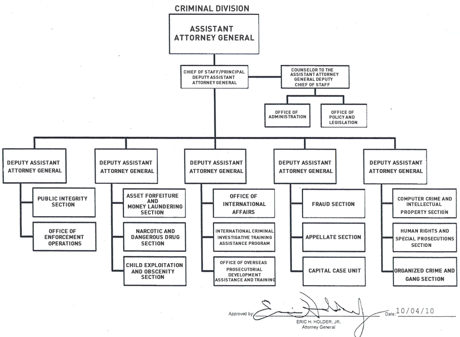 Organization Chart for the Criminal Division 