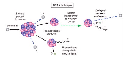 Depiction of the reaction chain that produces the DNAA signal