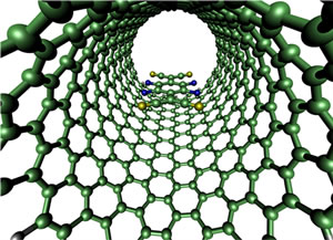 In these visualizations of a carbon nanotube, the F4-TCNQ molecule in the top image is oriented sideways, blocking electric current. In the bottom image the F4-TCNQ molecule is aligned with the length of the nanotube, which would allow current through—thus, a switch. Among the information technology wonders of the modern world, most are based on one simple question: Is it on or is it off?