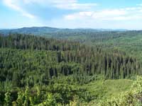 A rotation of pictures showing forest scenes from various National Forests. These scenes include forest views, people working in the forests, and forest management activities.