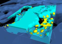 Detailed view of two registered scans of tissue engineering cell scaffolds at different resolutions.