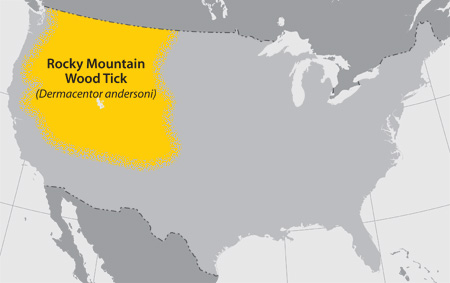 Approximate distribution of the Rocky Mountain wood tick in the United States of America