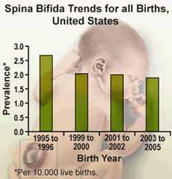 Graph: Spina bifida trends for all births, US