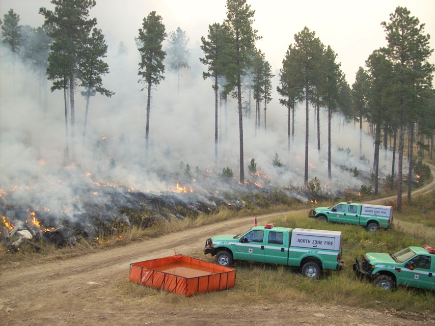 Third Place, Prescribed Fire - Photo of the Picnic Cavern Kine RX Burn just outside Nemo, South Dakota in the Black Hills National Forest with USFS North Zone Crews.  Photo taken by Bradley Hershey.