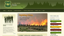 Image of the Fire Jobs website