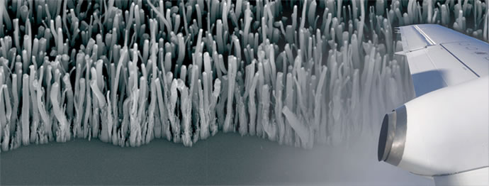 Plane wing against the backdrop of a nanotube forest.