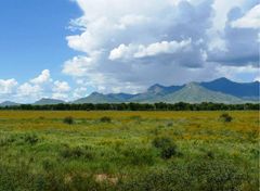 San Pedro Riparian National Conservation Area