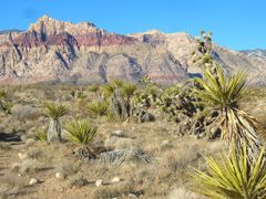 Red Rock Canyon National Conservation Area