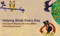 International Migratory Bird Day Website