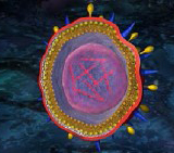 A graphic of the microscopic H5N1 virus.