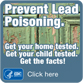 Prevent Lead Poisoning. Get your home tested. Get your child tested. Get the facts! Click here…