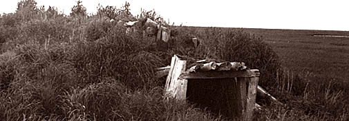 Sod house remains on the tundra - Yukon Delta National Wildlife Refuge, Alaska