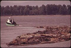 tug boat towing a large floating mass of wood and logs