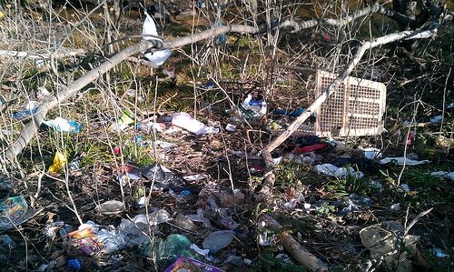 January 29, 2012 Bread and Cheese Creek Dundalk, Maryland