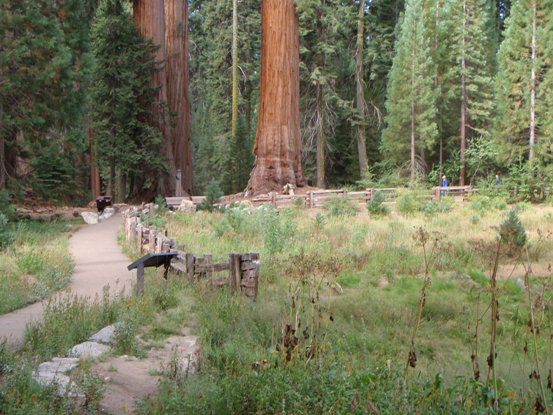 Round Meadow ten years after restoration.