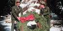 Rangers lay a wreath at the foot of the General Grant Tree, the Nation's Christmas Tree.