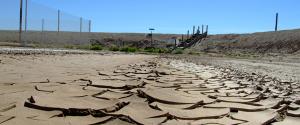 View of the mud, baked and cracked in the heat