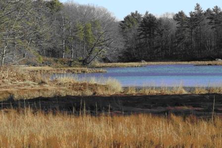 photo of York River