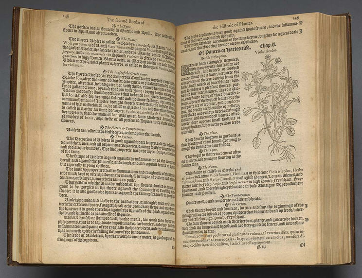 Rembert Dodoens, A Niewe Herball, 1578