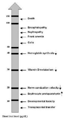 Figure 3.1. Lowest Reported Effect Levels of Inorganic Lead in Children