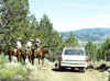 Local cattlemen on horses