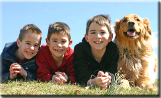 Three boys and their dog.