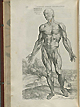 Page 178 of Andreas Vesalius' De corporis humani fabrica libri septem, featuring the illustrated woodcut of the third muscle plate, a full-length frontal view of a flayed corpse with its head facing to the right displaying the muscles of the front of the body.