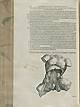 Page 472 of Andreas Vesalius' De corporis humani fabrica libri septem, featuring the illustrated woodcut of the abdominal cavity further exposed to show the genito-urinary sytem.