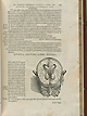 Page 609 of Andreas Vesalius' De corporis humani fabrica libri septem, featuring the illustrated woodcut of the first muscle plate, a full-length frontal view of a flayed corpse with its head tilted back to the left displaying the muscles of the front of the body.