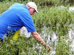 Dr. Paul Johnson, Alabama Aquatic Biodiversity Center, releases interrupted rocksnails as a trial reintroduction into the Coosa River in Alabama.