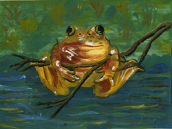 The mountain yellow-legged frog, listed as endangered since July 2, 2002, as depicted by Amanda Garcia from Murrieta, California, one of the 2011 Youth Art Contest semi-finalists.