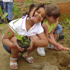 Maryland school children helping to restore a wetland by planting native wetland vegetation.