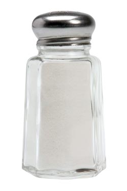 Salt Shaker