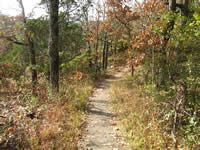 Upper Rim Rock Trail.