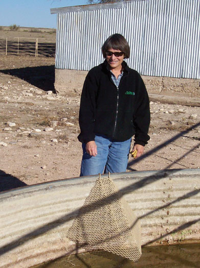 Tish McDaniel of The Nature Conservancy installs a mesh ramp to help wildlife escape from a water tank. 