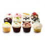 Georgetown Cupcake TLC Favorite Dozen