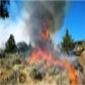 Cold Springs prescribed burn