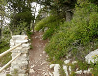 View of the lower trail.